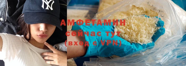 крисы Бородино