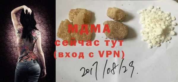 крисы Бородино