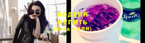 крисы Бородино