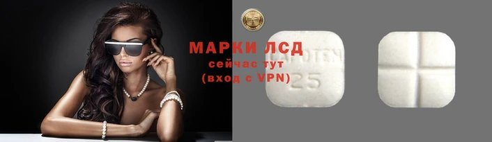 крисы Бронницы