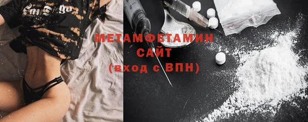 крисы Бородино