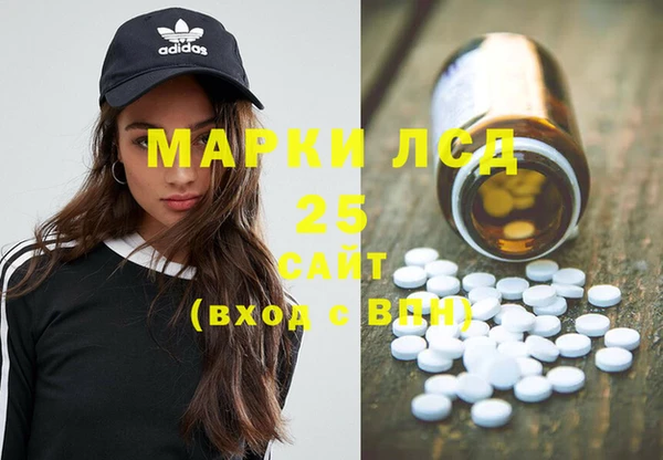 крисы Бородино