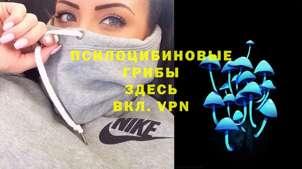 крисы Бронницы