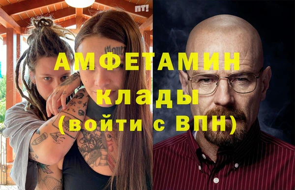 крисы Бронницы