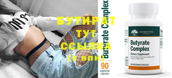крисы Бородино