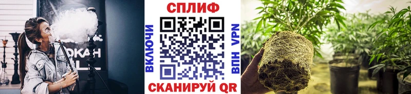 где найти наркотики  Обь  Бошки марихуана конопля 